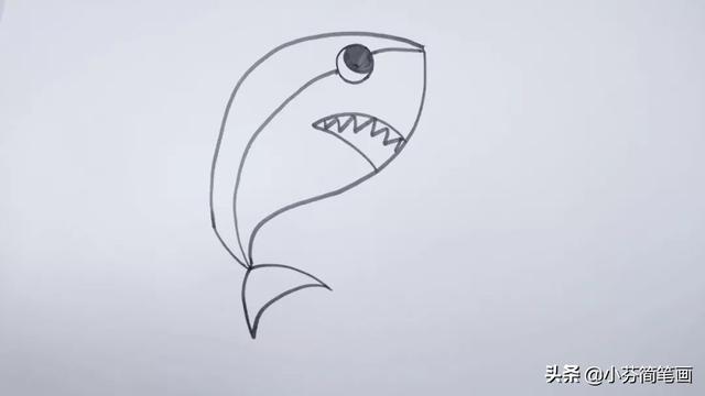 大鲨鱼简笔画简单又好看，海里最凶猛的大白鲨绘画步骤