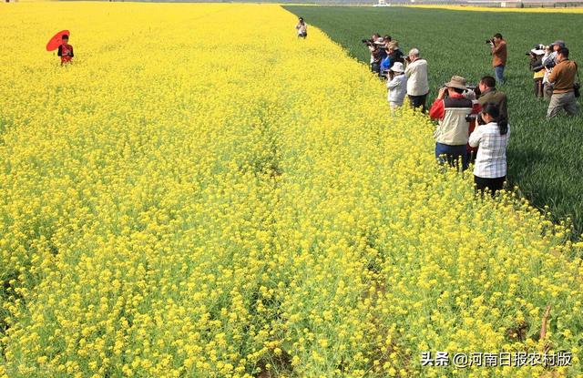 济源五一旅游景点推荐，五一去哪玩济源这几条精品旅游线路任你选