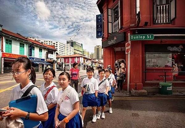 新加坡华人比例，现在新加坡华人的现状（新加坡华人占70%）