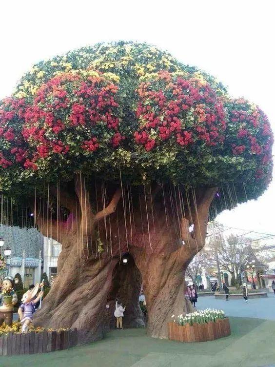 老树长新芽枯木又开花，枯木逢春老树开花