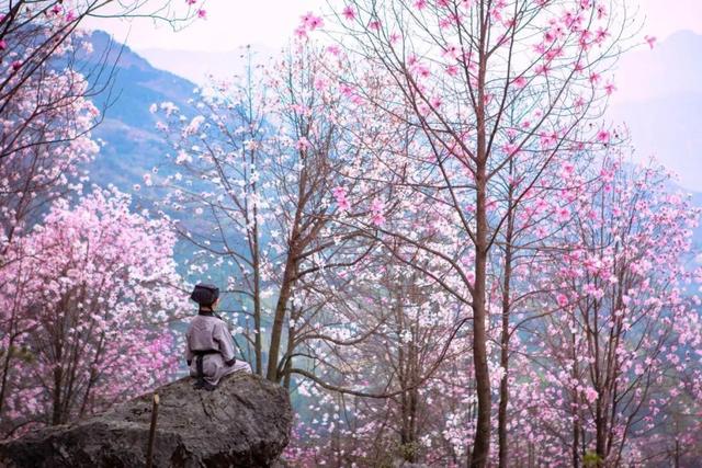 川西北花海风景，两天一夜川西秘境之旅