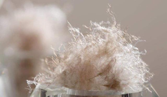 鸭绒和鹅绒什么的比较好，鹅绒与鸭绒的区别