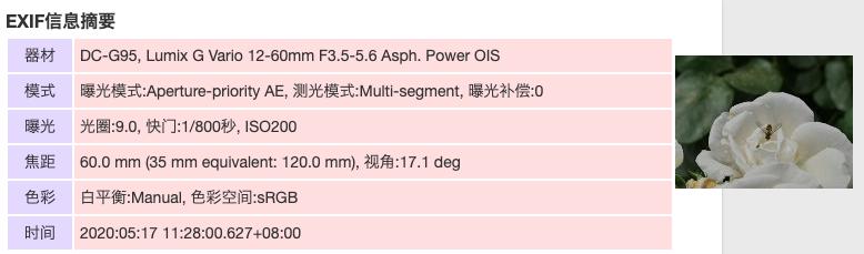 松下g95可以配什么镜头，松下G95微单相机