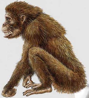 巨猿的体型对比，史前巨兽身高达3米