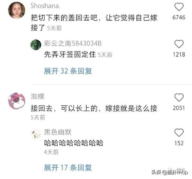 网红殷世航有多高，1米5都算是顶天了