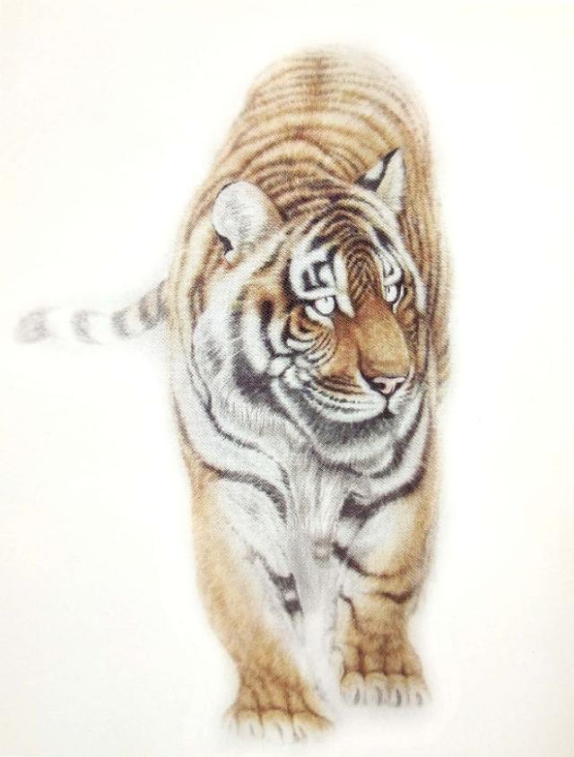 画虎怎么画才好，老虎画法-陈家明画虎