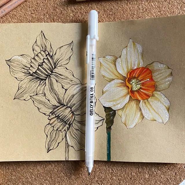 妙笔生花水墨画教程，教科书级别的植物线描