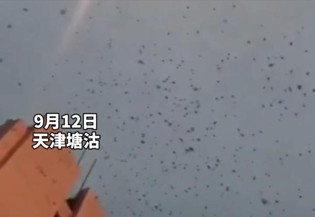 中国燕子迁徙路线，北方燕子迁徙都去哪了