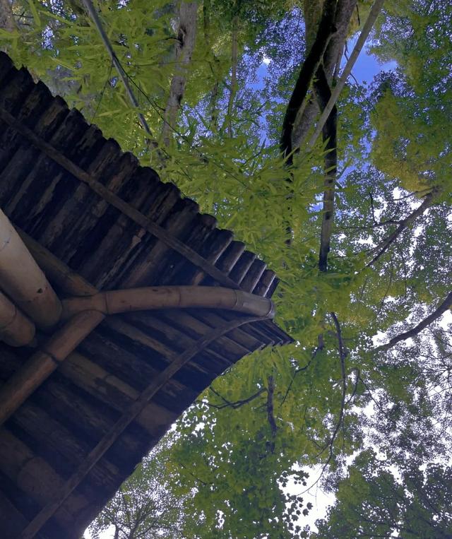 重庆周边凉快的避暑打卡地两三天，重庆周边这⑧个避暑胜地只有25℃