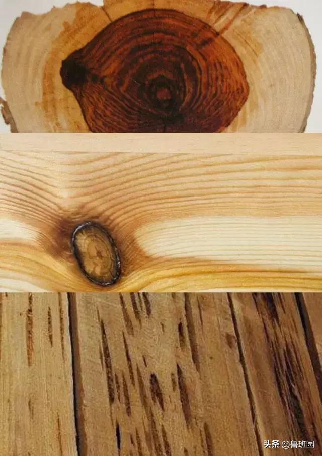 橡木相关知识，记得收藏这篇文章备用