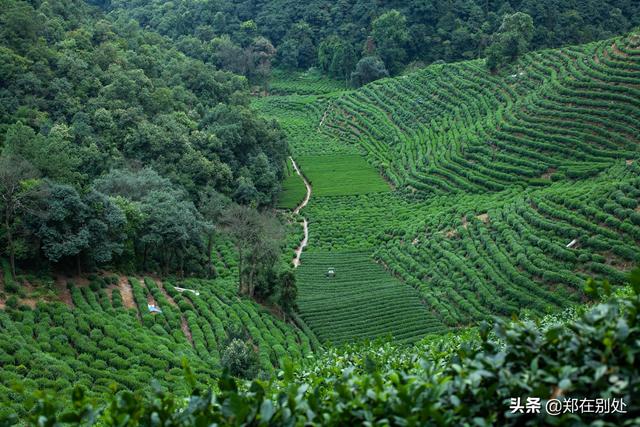 杭州冷门爬山路线，杭州登山路线08最好在这里