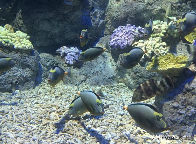 福建福州旅游攻略，福州旅游攻略自由行五日游（福建之福州游玩攻略）