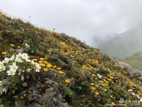 大理苍山游玩攻略，大理苍山旅游攻略自助游（大理苍山游玩攻略）