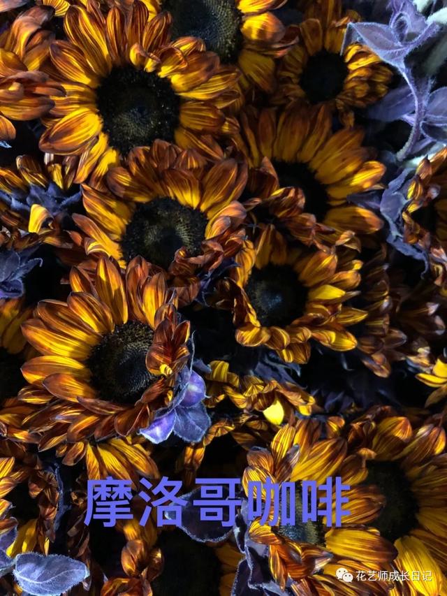 向日葵油画的技法，每日一花三款复古油画里走出的向日葵