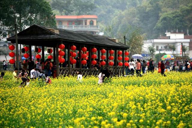 广州王子山森林公园，广州花都一日游去哪里（广州地区内难得一见的“世外桃源”）