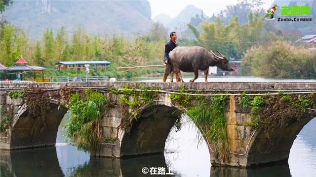 明仕田园在哪里，广西桂林哪里适合自驾游（明仕田园，山水下的隐世秘境）