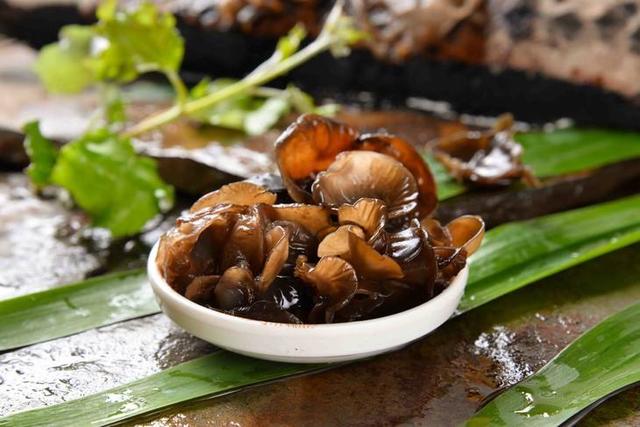 高尿酸痛风能吃木耳，尿酸高痛风的人能不能吃黑木耳和洋葱