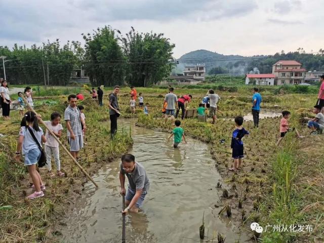 广州六一儿童节游玩推荐，儿童节溜娃不用愁