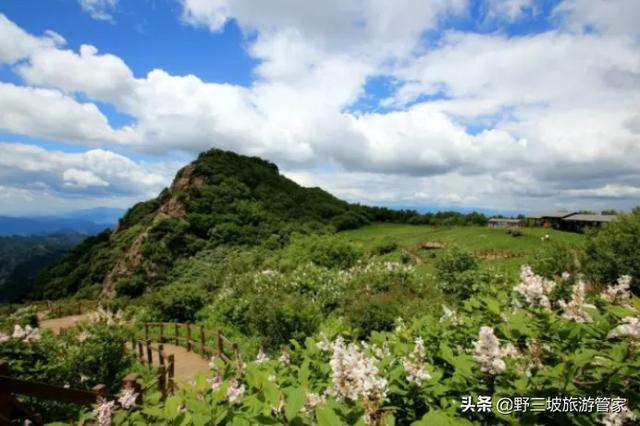 野三坡 旅游攻略，野三坡旅游知识问答