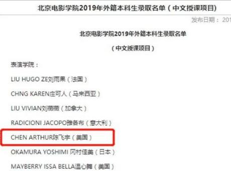 陈凯歌儿子陈飞宇改国籍，陈凯歌儿子陈飞宇退美国籍