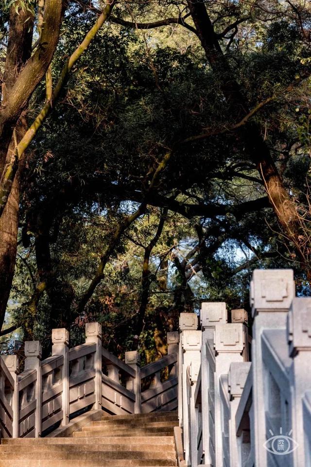 深圳哪个海边值得去，深圳私藏的10个看海好去处
