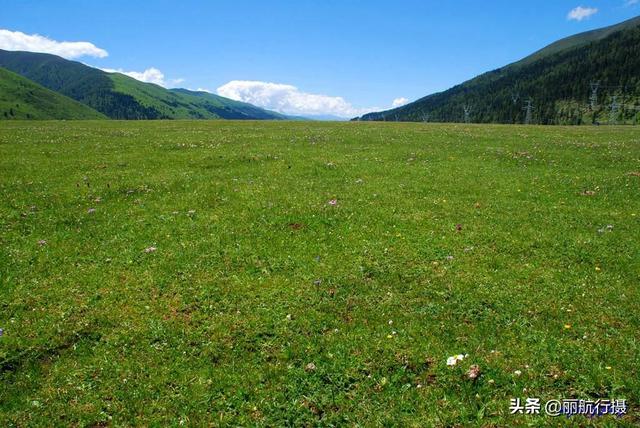 新都桥草原风景，新都桥—塔公草原—雅砻江河谷——迷人的夏季风光