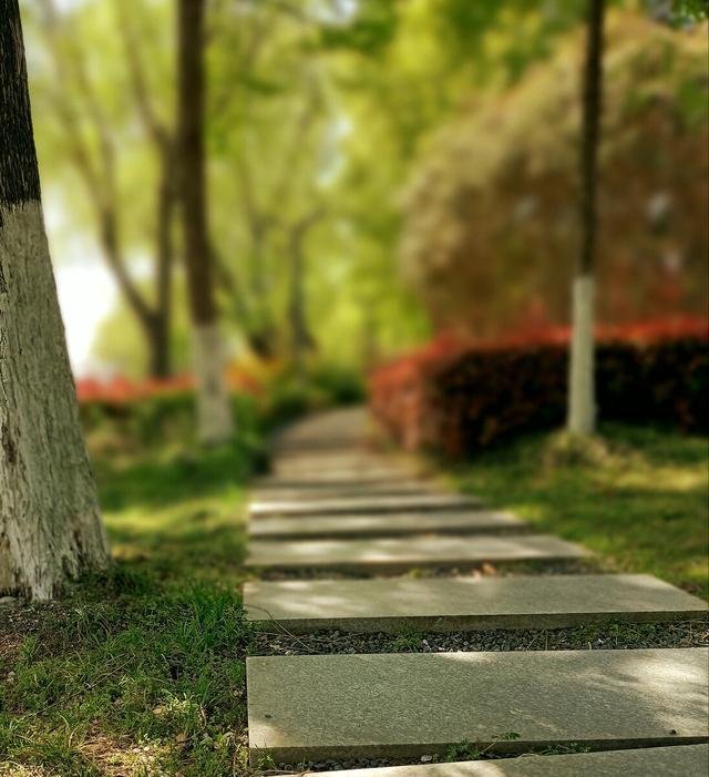 什么样绿荫填上合适的形容词，形容绿荫的叠词有哪些