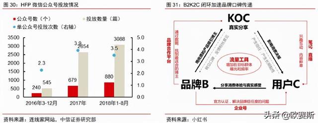 世界顶级护肤品营销方案，功能性护肤品行业分析及品牌营销策略