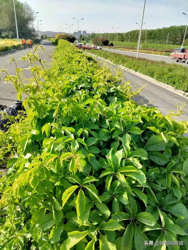 乌鲁木齐高铁片区，乌鲁木齐未来发展片区在哪一块（乌鲁木齐城北新区的全市之最）