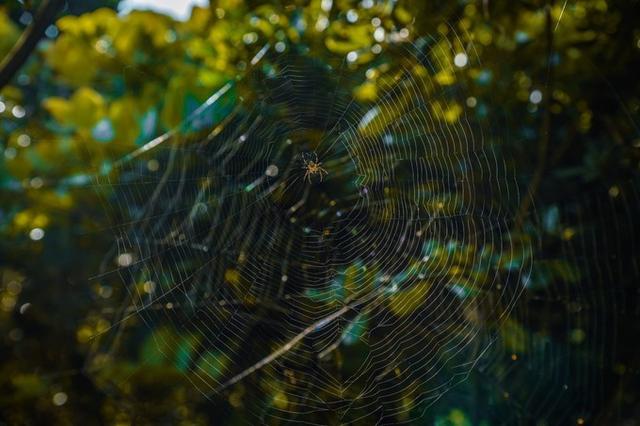 大陈岛旅游攻略浙江，台州旅游攻略沉溺在大陈岛的海天一线