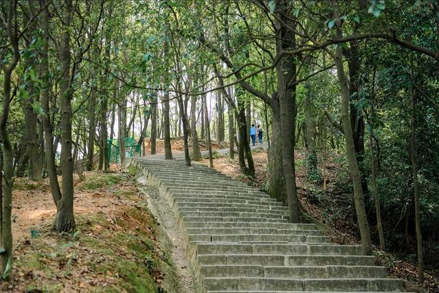 深圳十大山风景区，推荐10个非常值得一去的登山打卡点