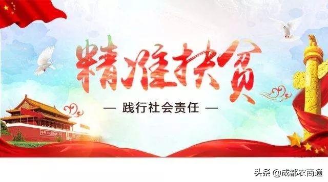 脱贫具体标准是什么，贫困标准是什么