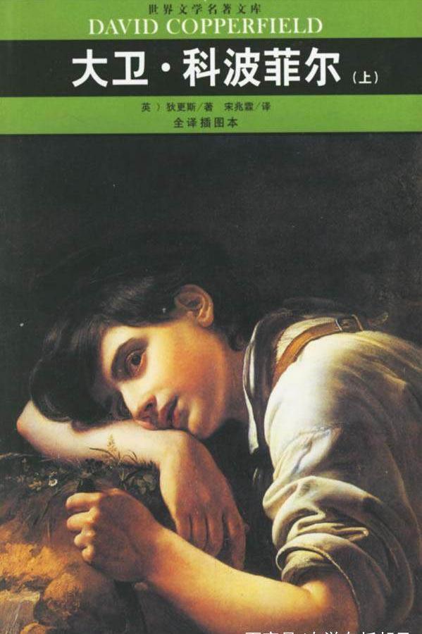 高二大卫科波菲尔课文总结，当苦难碰到苦难