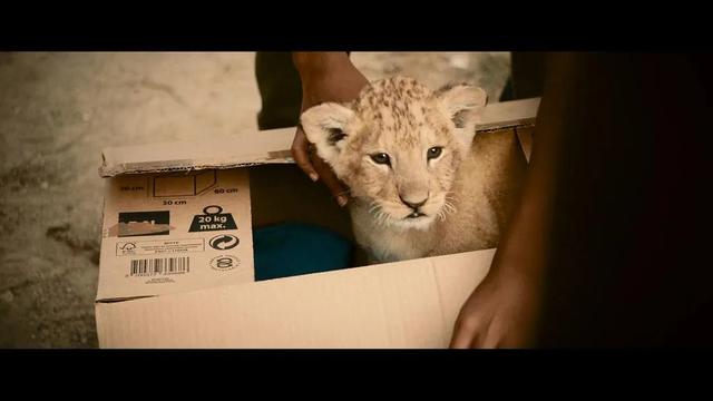 悲惨世界好看吗，没有看过让人这么绝望的电影（悲惨世界电影最好看的版本）