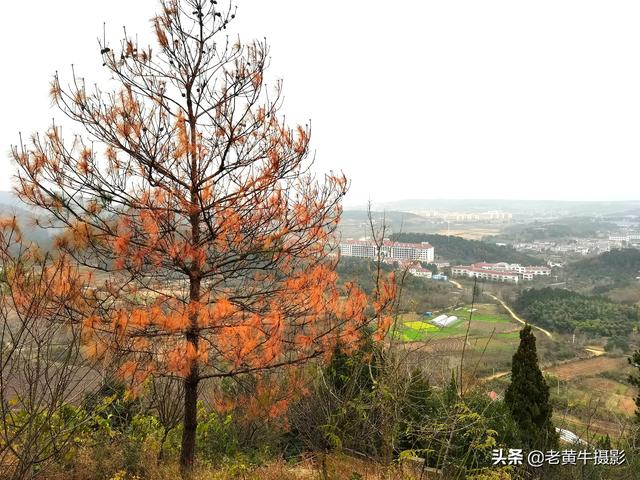 京山青龙山风景区在哪，京山青龙山，生态美景看不够