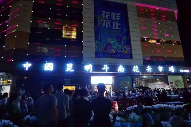便宜又实惠的鲜花市场，打卡全国最大的鲜花批发市场