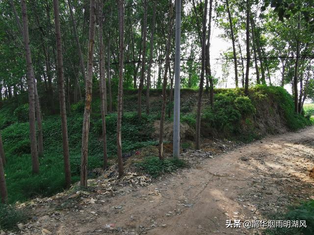 大汶口文化遗址，大汶口文化遗址在我国哪里（山东这十大遗址被国家文物局看上了）