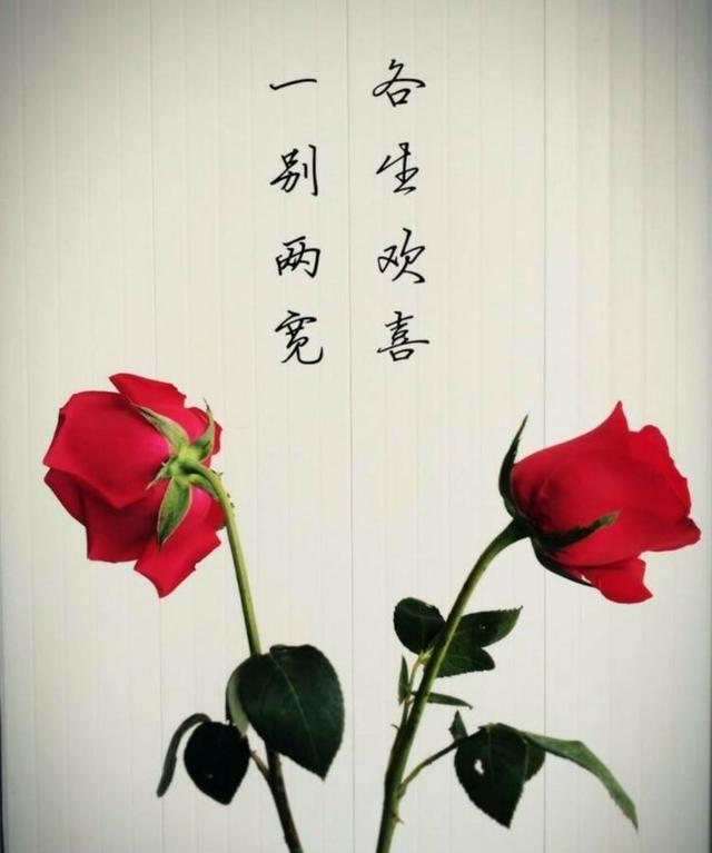 相爱的人相看两不厌，与其相看两相厌