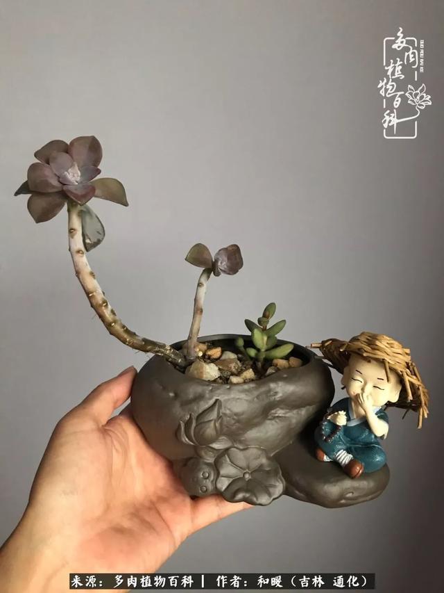 买肉，买肉的正确方法和注意事项