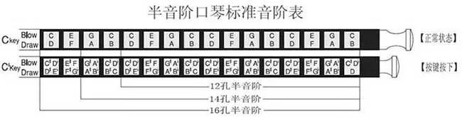 半音阶口琴音阶图，半音阶口琴入门教程（口琴的音阶和拿法）