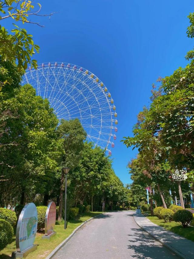 南宁附近花海景点推荐，南宁这几处花海，美了