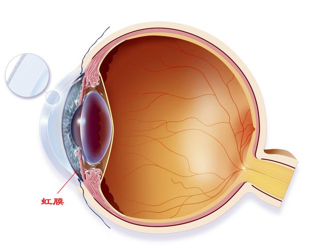 霸王项羽真实死因，据传西楚霸王项羽是双瞳孔