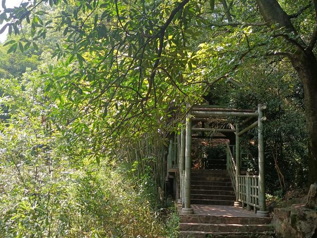 长沙市内十大公园，长沙本地人告诉你这10个地方不能少