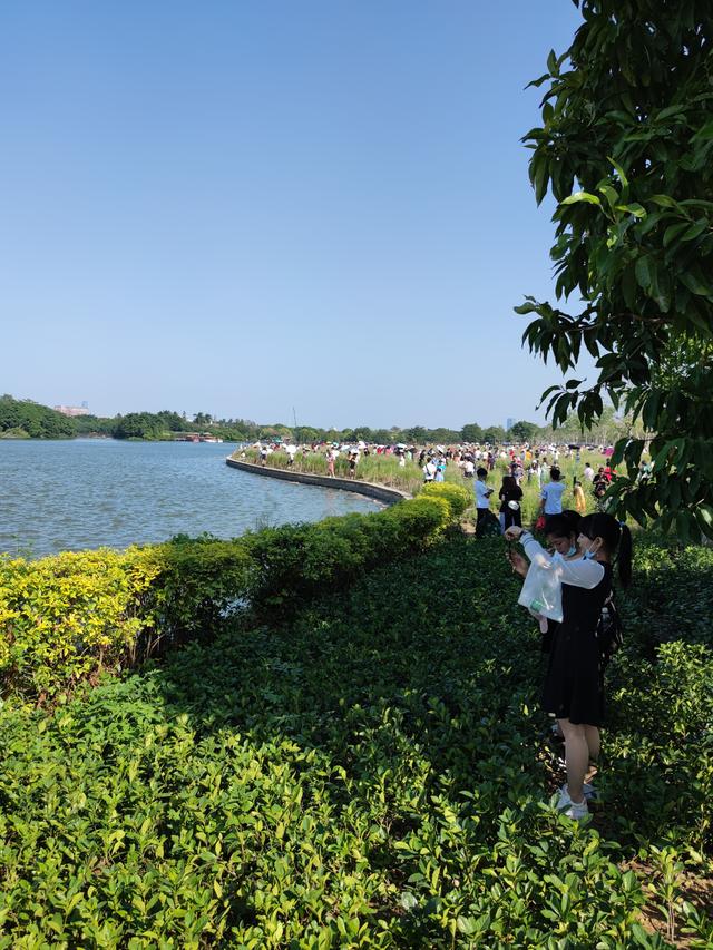 广州最适合去的公园，广州十个必打卡公园<免费篇>
