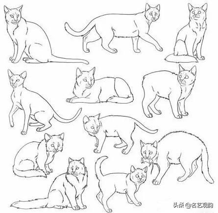 100种小猫怎么画，100种画真猫的画法（教你在纸上养个主子）