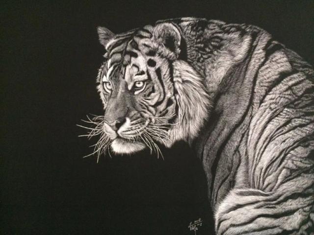 刮刮画作品大赏，刮画被他玩到极致