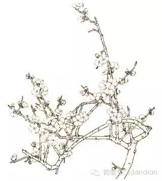 国画墨桃花画法教程，大家一起学画国画