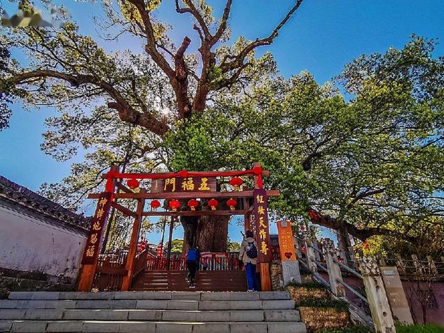 新安江山水画廊风景区，新安江山水画廊风景区在哪里（忘不了的山水画廊，你想它几分）