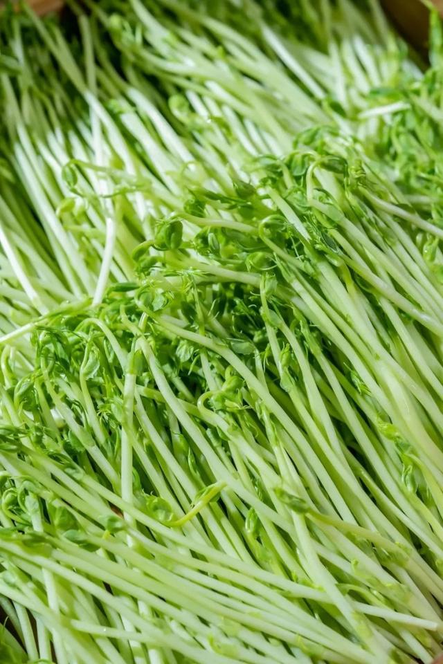 椰子鸡用什么鸡，四个椰子一只文昌鸡（文昌椰子鸡用什么椰子）