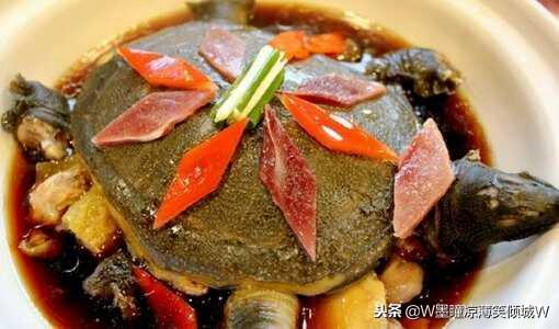 清蒸甲鱼的做法，清蒸甲鱼怎么做法好吃窍门（美食做法——清蒸甲鱼）